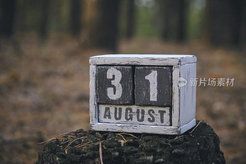 八月三十一日是夏季的月份，森林里有日期和月份的木制日历。