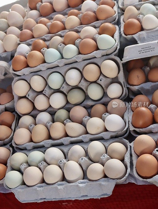出售新鲜鸡蛋