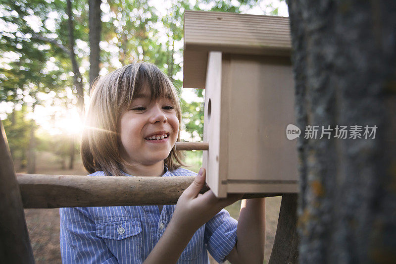 快乐的男孩把鸟笼挂在树上