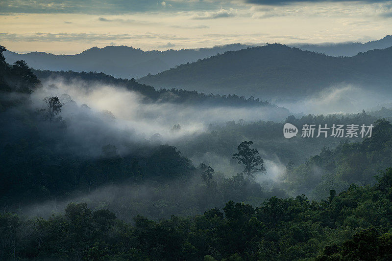 日出时看到的山脉或热带雨林中的山谷，有淡淡的雾和绿色