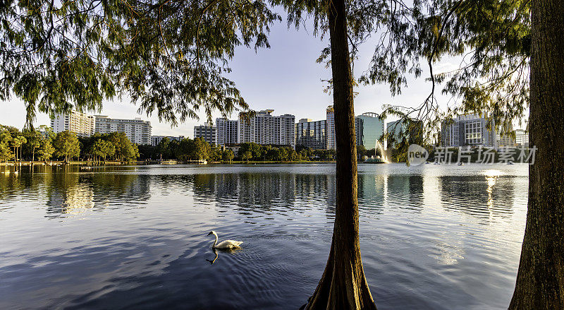风景秀丽的伊奥拉湖公园位于佛罗里达州奥兰多市中心