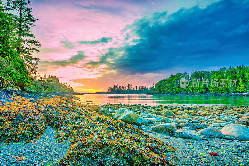 托菲诺不列颠哥伦比亚省加拿大海滩日落