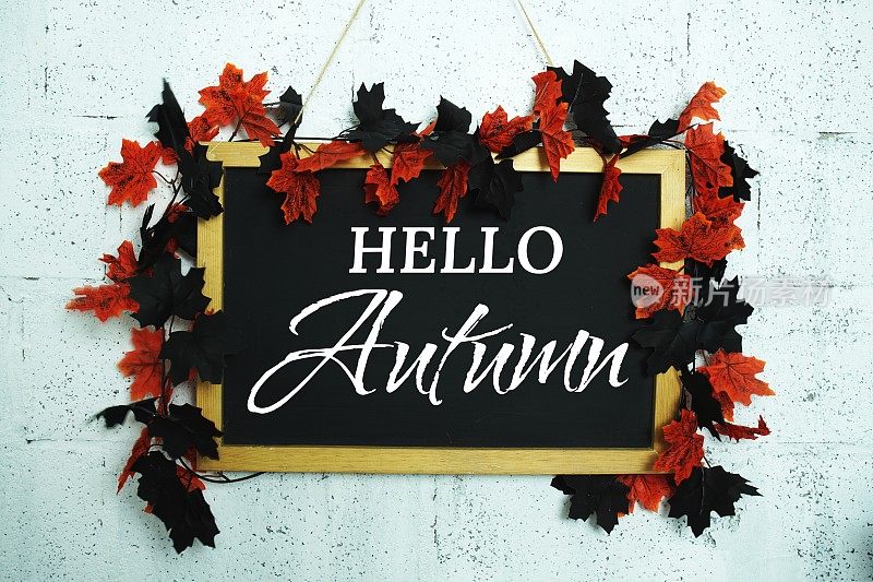你好，秋天的短信在黑板上装饰，枫叶挂在水泥墙的背景