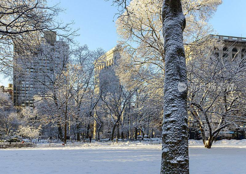 一个下雪的早晨，麦迪逊广场公园和熨斗大厦在背景中看到，纽约