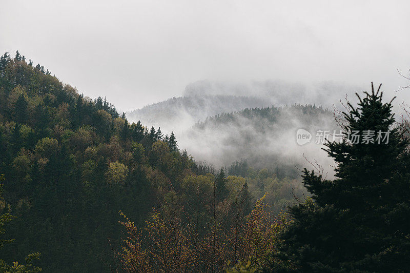 山景与雾