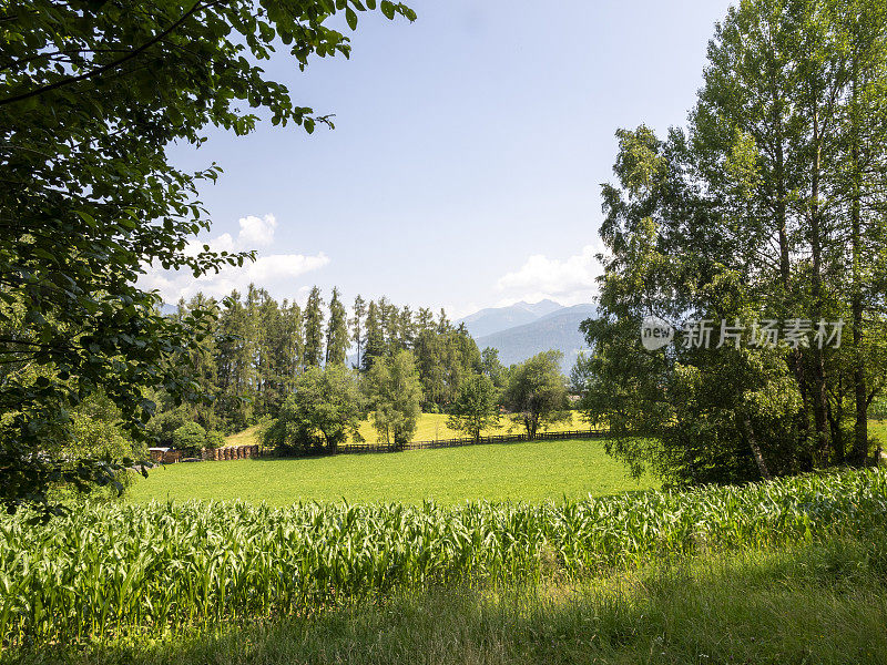 阿尔卑斯山全景