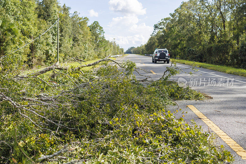 飓风过后，汽车行驶在高速公路上:倒下的树木吹倒了北佛罗里达公路上的电线