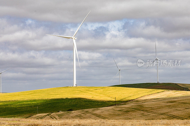 南非的风力涡轮机产生可再生绿色能源