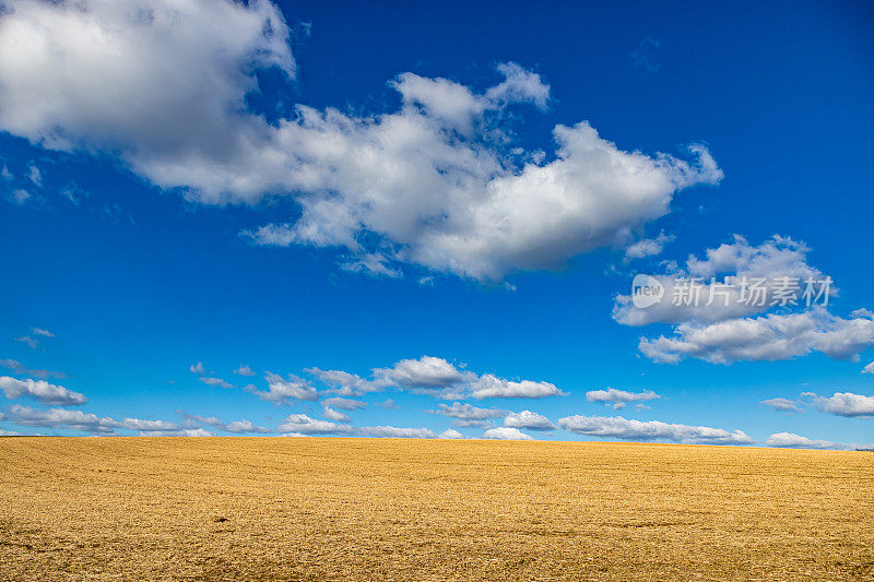 收获后的残茬田景观，蓝天白云映衬着荷兰的农田