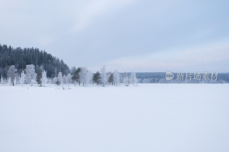 冬天的风景。冰雪覆盖的冰湖，在湖的岸边有一片白雪覆盖的森林。