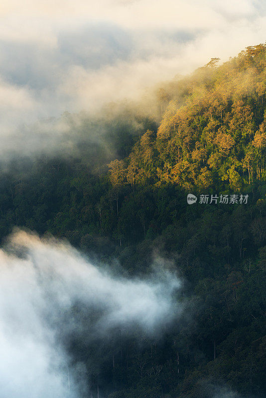 泰国清迈，美丽的风景在一个雾蒙蒙的早晨。