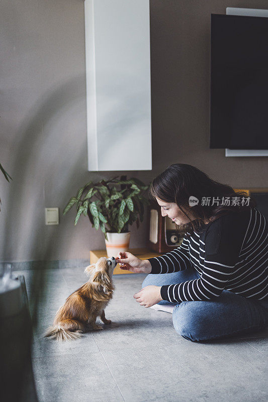 一个女人带着一只吉娃娃狗在客厅里