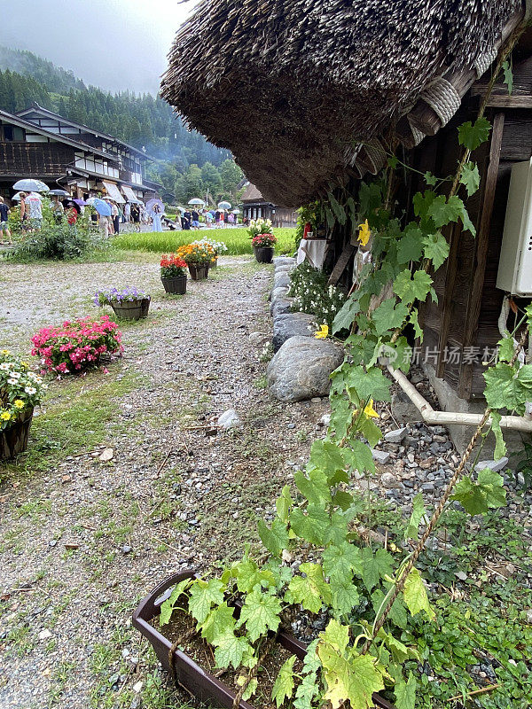 日本-白川古村-自然与建筑