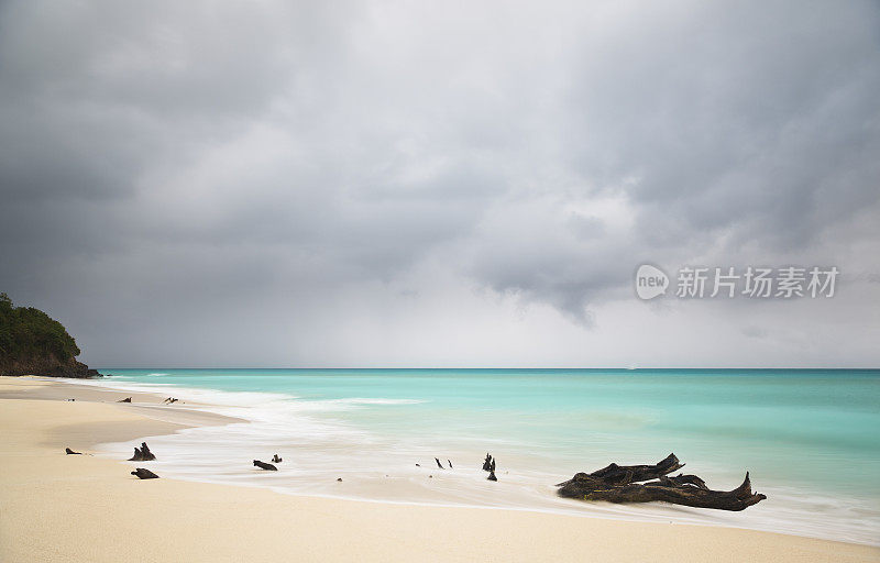 暴风雨加勒比海滩与浮木