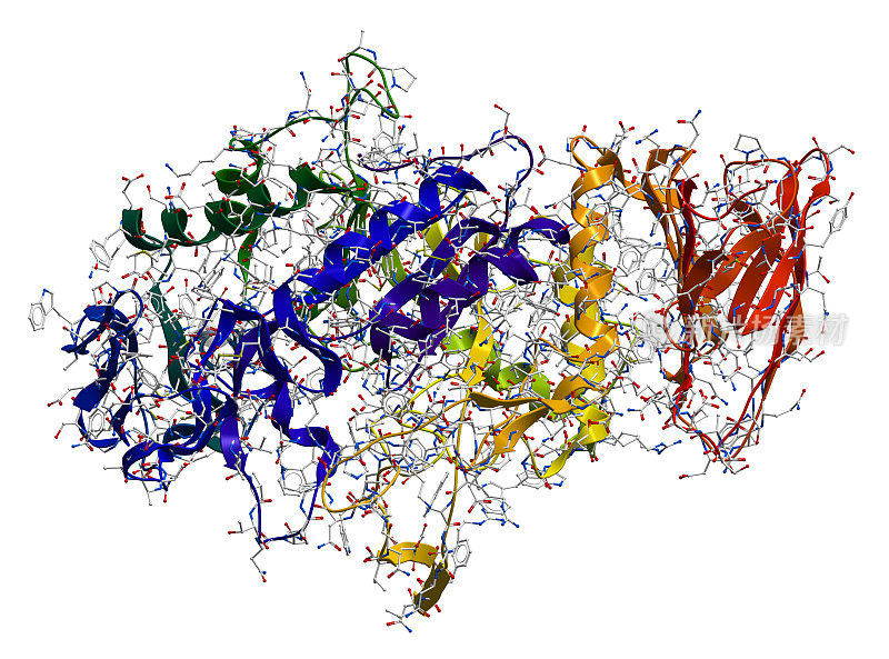 酶-淀粉酶3D分子结构