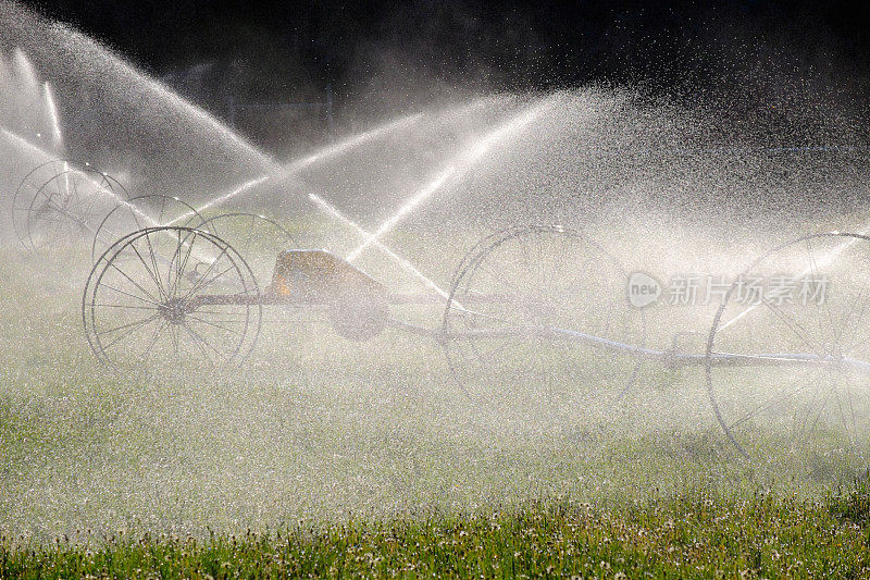 牧场的干草被灌溉