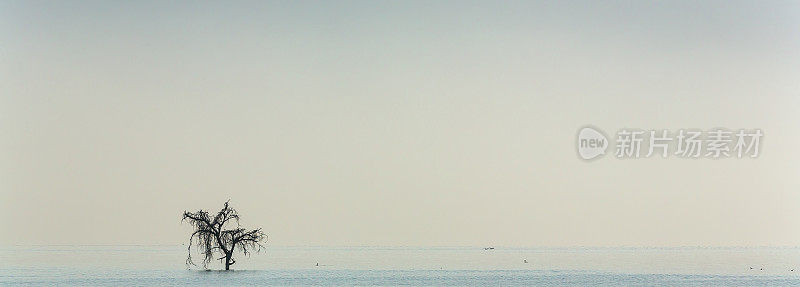 早晨纳库鲁湖全景-寂静