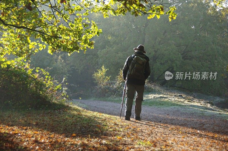 清晨的牧羊人