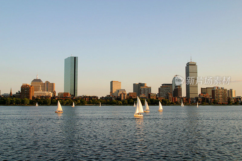 波士顿