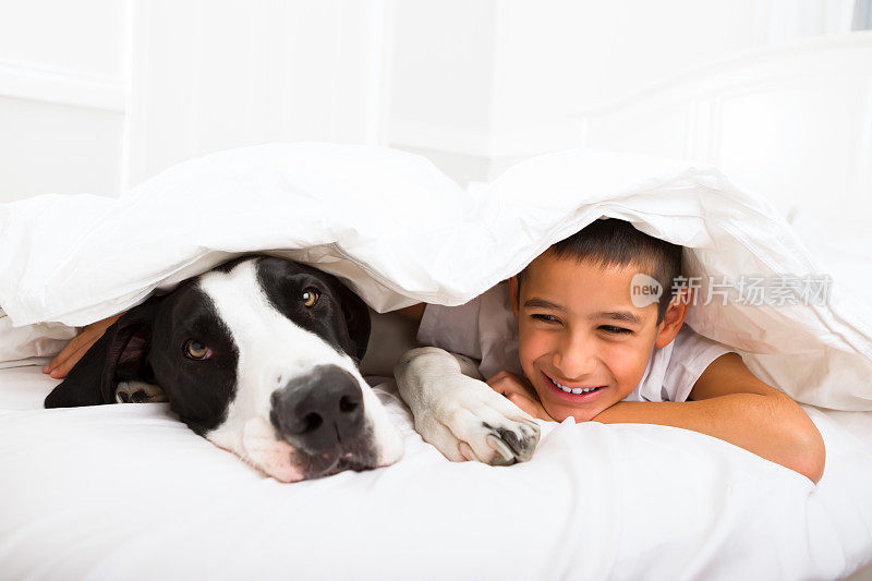 小男孩和他的狗躺在床上