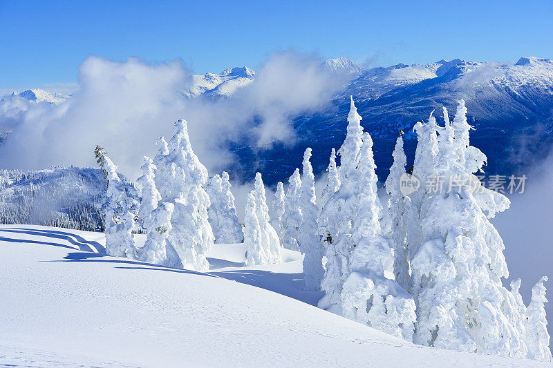 雪鬼