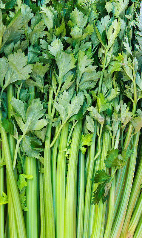 市场摊位上的蔬菜:一捆捆带叶的绿芹菜