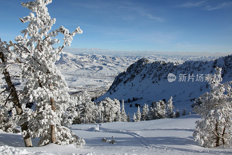 犹他州，在粉雪上滑雪