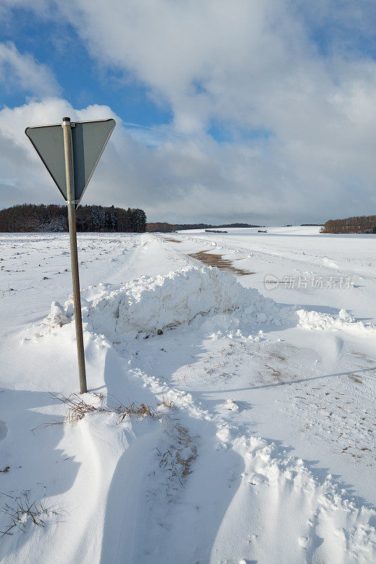 路在雪景中