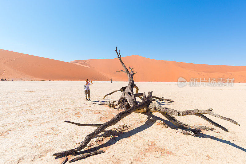 拍摄非洲纳米比亚的沙漠
