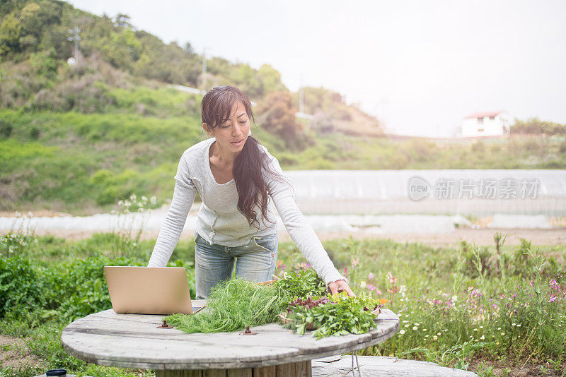 用电脑在网上卖有机草药的女人