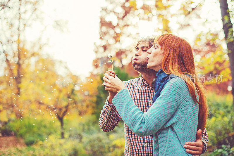 一对夫妇在秋天的公园里吹蒲公英