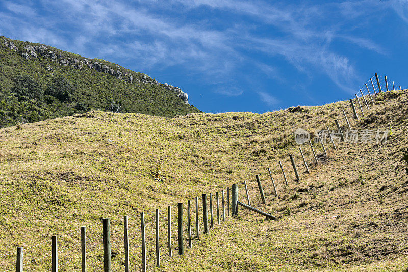 Maunganui山，陶兰加，新西兰