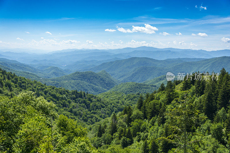 烟熏山谷景观