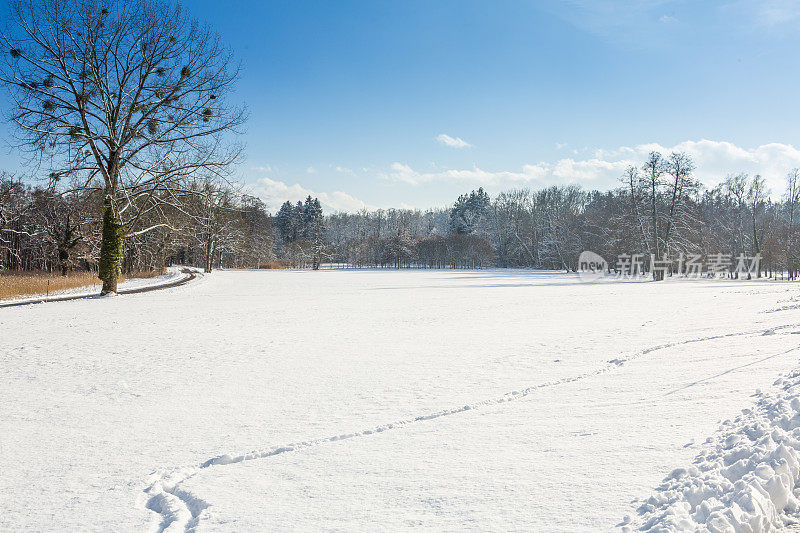 雪地上的台阶