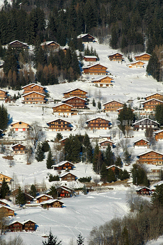 高山村庄