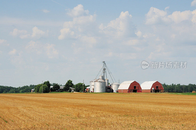 印第安纳州有红色谷仓和谷仓的麦田