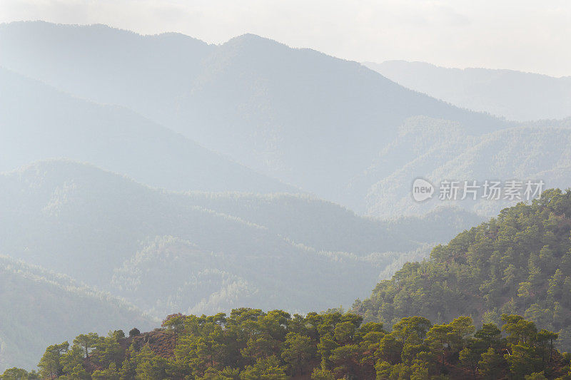 清晨雾蒙蒙的Troodos塞浦路斯山塞浦路斯