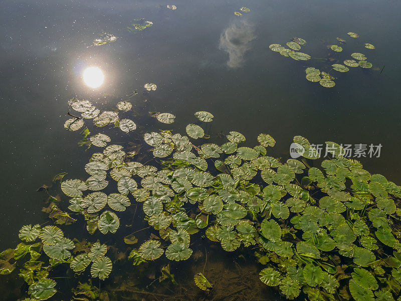 雅芳河