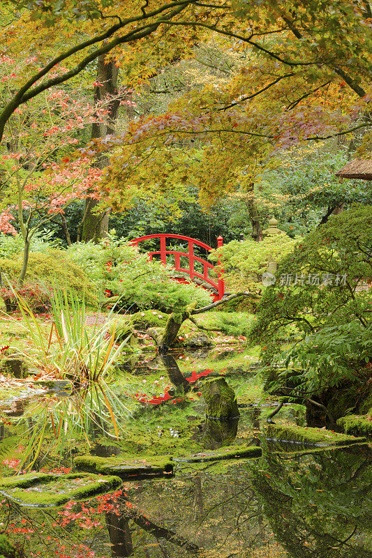 海牙的日本花园