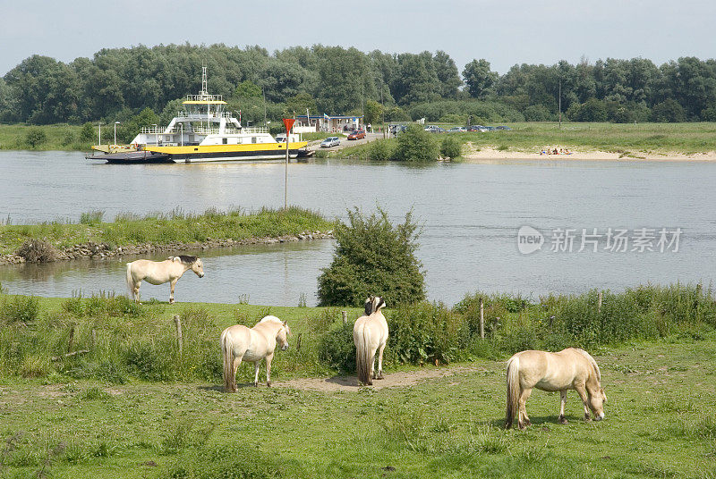 荷兰风景:沥河沿岸的峡湾马