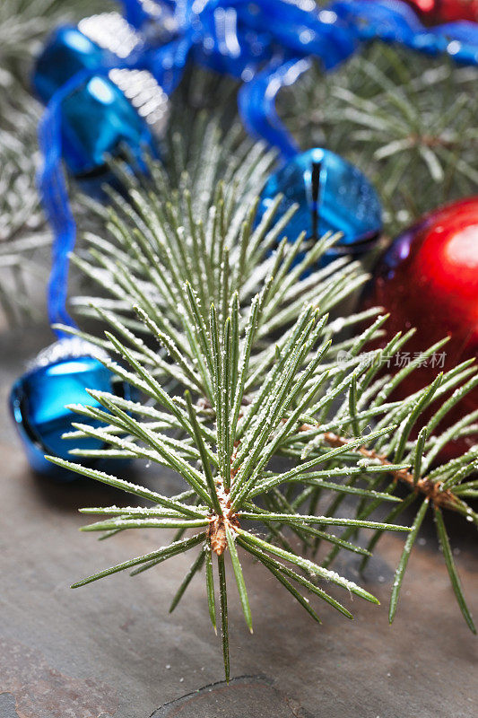 用蓝铃装饰的圣诞树