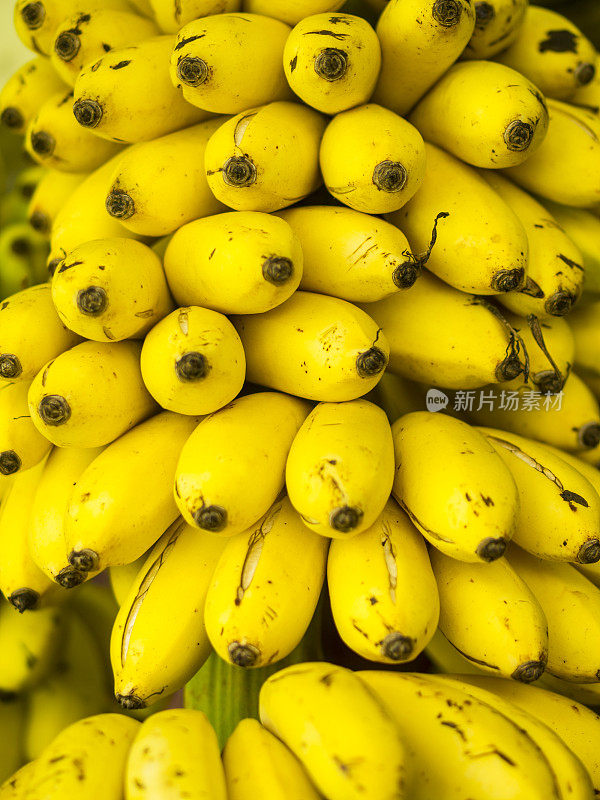 斯里兰卡康提市场上的香蕉丛生。