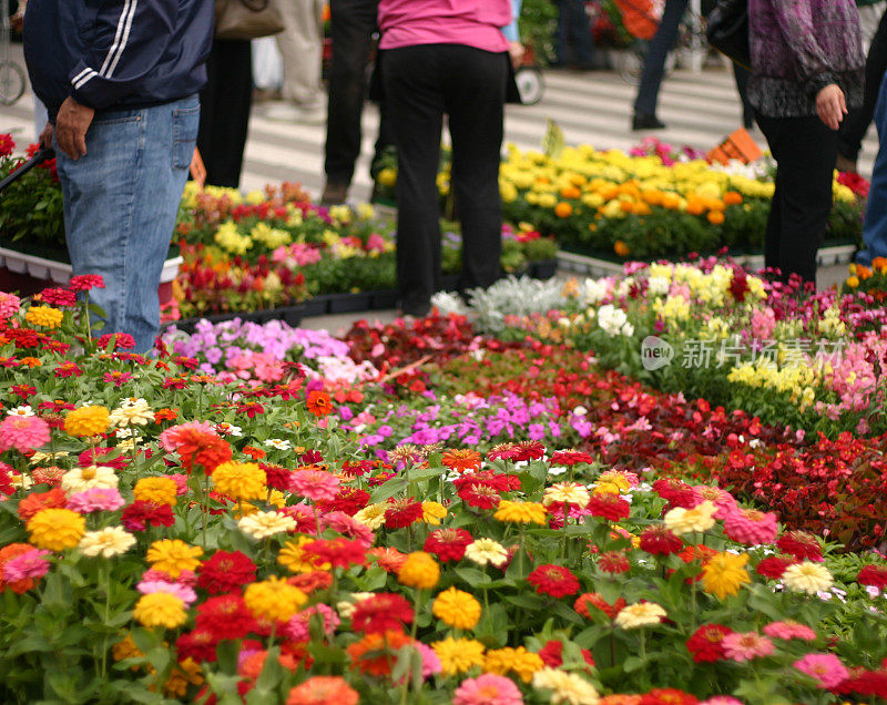 花卉市场