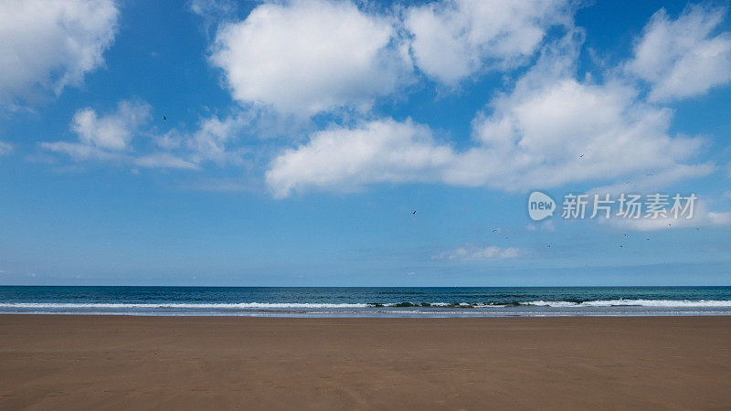 海鸥飞过海滩