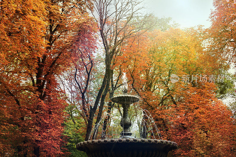 秋天的喷泉