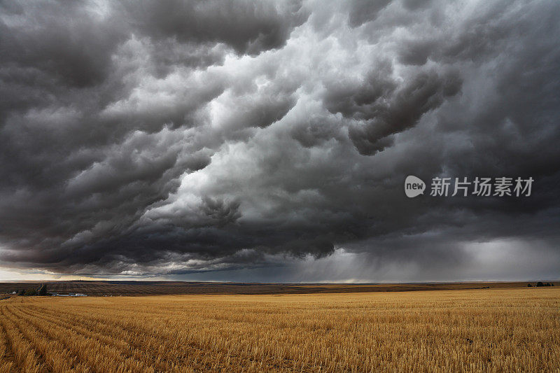 雷雨