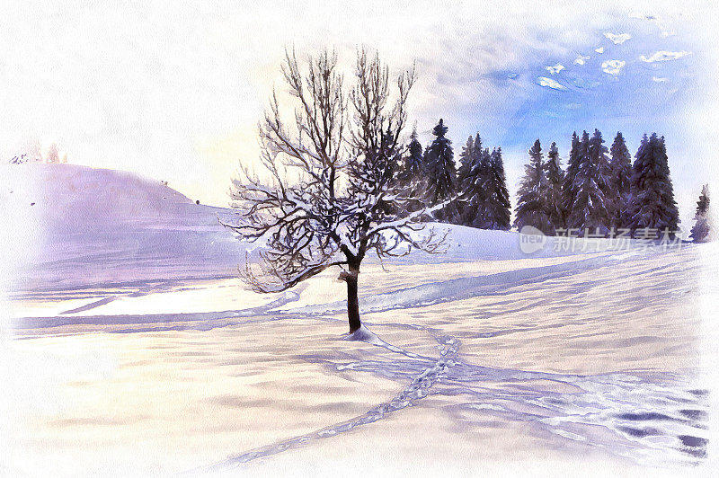 美丽的冬季景观与积雪的树木