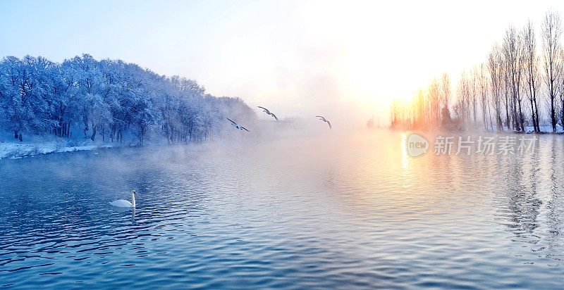 美丽的天鹅湖在冬天的景色