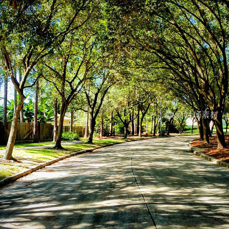 树木环绕的公园中心大道