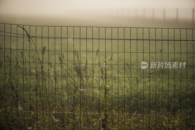 多雾的早晨